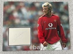 David Beckham Signed Manchester United Display