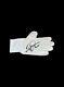 Edwin Van Der Sar Signed Adidas Glove See Proof Manchester United Ajax Football