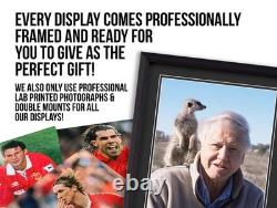 Eric Cantona Signed 16x12 Framed Photo Display Autograph Manchester United COA